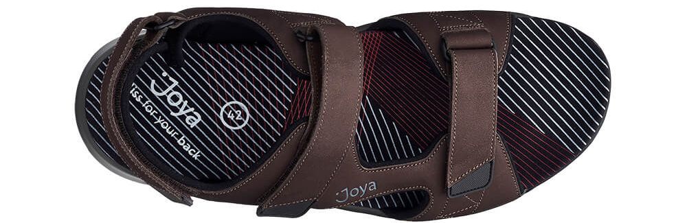 Alexander Dark Brown - Image 2