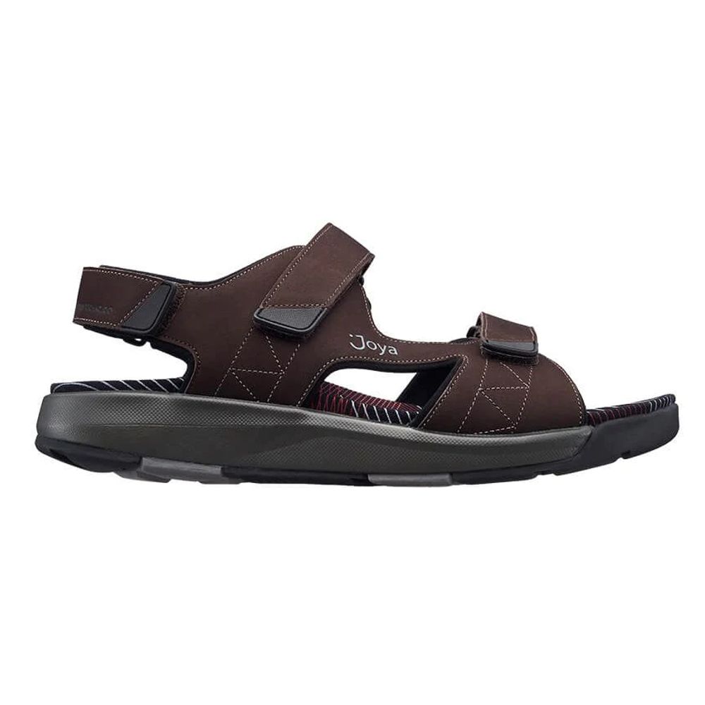 Alexander Dark Brown
